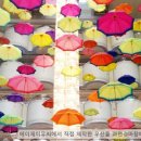 성지한방내과한의원 네이버블로그