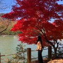 추천 철원 포레스트 ㅣ 주말 10만원대에 다녀온 후기 ㅣ 포천가볼만한곳 산정호수 단풍 (낭만닥터김사부...