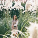 태안팜랜드 이미지