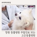 고은동물병원 - 사상구 모라로 107 | 고은동물병원