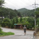 유식물원 이미지