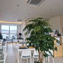 민속촌로 11번길 | 민속촌 입구, 대관가능한 가성비 좋은 브런치 카페. 보라하우스