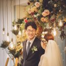 바닷가 숲속 이미지