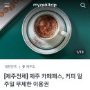 제주도 카페패스 서귀포 후기 : 7일간 3시간마다 커피무료, 진짜짱이다!