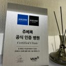 더 볼륨 | 쥬베룩 볼륨 팔자 후기 블룸쥬베룩 내돈내산