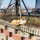 광복호2