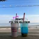 할리베어(HOLLY BEAR)