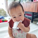 슈퍼클린 | 이유식 물티슈 추천! 슈퍼대디 [제로 에코 클린] 사용후기