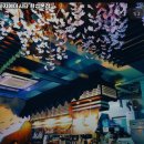 11500-19-70-14 | 하지메마시타 황성본점 경북 경주 초밥 추천