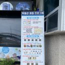 티라노 청소년 오락실 | 아이랑 갈만한 곳 안면도 쥬라기 박물관 내돈내산 방문 후기