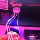 신나는 노래연습장 | 압구정핫플로 소문난 각방 소화기로 안전해서 더 좋은 판타스틱코인노래연습장 후기