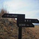 순천시립 공원묘지 Daum카페