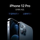 퍼시픽블루 이미지