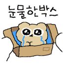 유진미용실 이미지