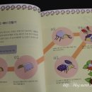재미톡톡 창의과학 이미지