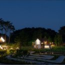 양양 스테이나무 이미지