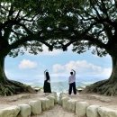 연꽃호수펜션 | [부여,공주] 1박 2일 여행 / 솔내음 레스토랑, 국립부여박물관, 궁남지, 가림성 하트나무