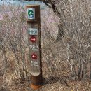 유가사 주차장(구) | 비슬산 산행 [2013-04-27] - 대구광역시 달성군 소재