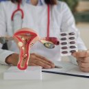 예다여성의원 이미지