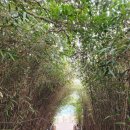 초포농장 | 여수 보름살기 일정 총정리 | 여수 여행의 모든 것