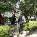 도계3리 이미지