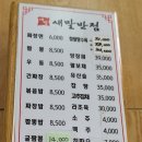 새말반점