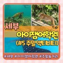 세부 막탄 아이잼어학원 주말 일상 후기(feat.남부투어,호핑투어)