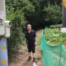 국사봉염소 이미지