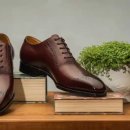 슈퍼 트렁크 이미지