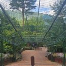 (주)강원랜드(강원랜드호텔) | 강원도 정선 하이원리조트 방문과 강원랜드 호텔 중식당 '오리엔 Orien'과 사북 아침 식사 '맛고을...