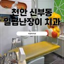 동남치과의원 | 천안 신부동 일곱난장이 어린이치과 29개월아기 구강검진 후기