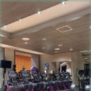 스포렉스사우나 이미지