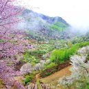 금산-19 이미지