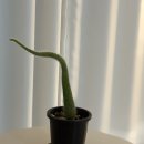 올림픽로 108길 | 요즘일상 일기장