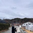 이하오산로(와룡면) 이미지