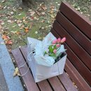 부천 신중동 24시 꽃집 VIVIDLY 무인 구매 후기🌷