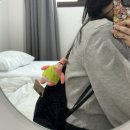 할로발리