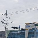제주도 여행002 제주시농협 하나로마트 노형점 기름떡 (구매 실패)