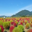 황산공원(황산B) 이미지
