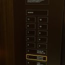 올리브사우나 | 파크로쉬 리조트앤웰니스 호텔 시설 - 로쉬카페, 수영장, 사우나, 피트니스, 요가 수업 후기
