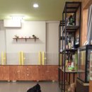 패밀리독 이미지