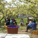 성리농장 이미지