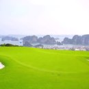 하롱클럽 이미지