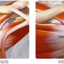 헤이데이짐 영천점 이미지