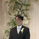 헌릉로569길 | 본식 가성비부케 피안토듀리 내돈내산 후기