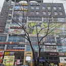 제이씨락롤러장 이미지