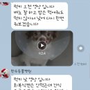 한수동물병원 이미지