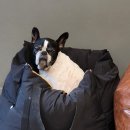 보듬보듬 이미지