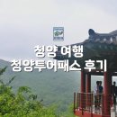 앵화당 | 청양투어패스를 활용한 청양 여행 / 고운식물원 찰리와고추빵 앵화당까지 즐기기
