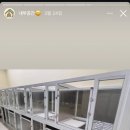 댕그레 이미지